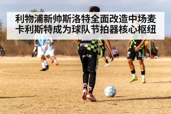 利物浦新帅斯洛特全面改造中场麦卡利斯特成为球队节拍器核心枢纽