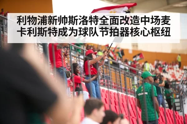 soccer stadium crowd